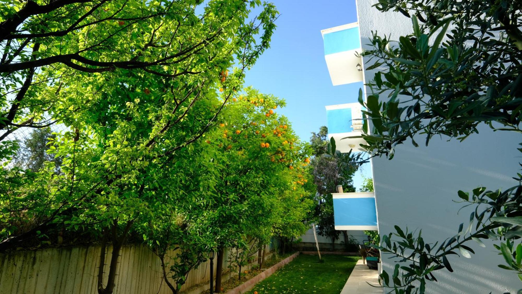 The Cotton House Bed & Breakfast Pamukkale Ngoại thất bức ảnh